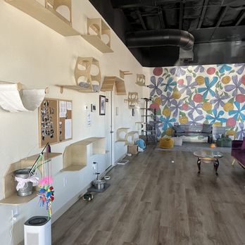 HUNTER’S KITTEN LOUNGE - Updated March 2025 - 70 Photos - 5319 E