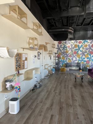 HUNTER’S KITTEN LOUNGE - Updated August 2025 - 70 Photos & 11 Reviews