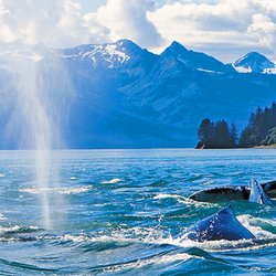Gulliver's Travel Of San Luis Obispo - Alaska Cruise