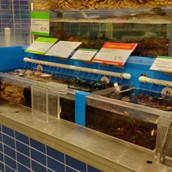 T&T Supermarket - Live Crabs & Lobsters