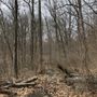 Photo of Silver Lake Preserve