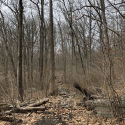 Silver Lake Preserve