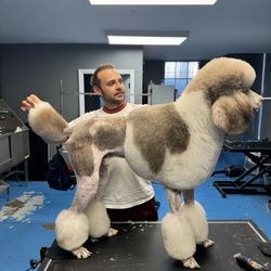LA Pet Home