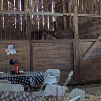 Cavallo Riding Center - Love that we get to see the horses! - Horseback Riding Near Me - Tracy, California