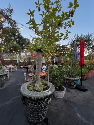 Casita Del Campo by null