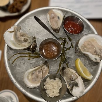 Salt Traders Zilker - Oysters on the half shells - Seafood Near Me - Austin, Texas