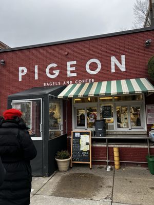 Pigeon Bagels by null