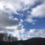 Photo of Beaverbrook Tree Farm