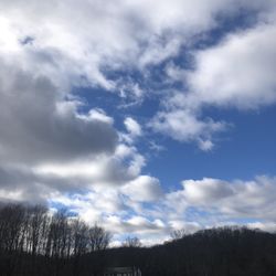 Beaverbrook Tree Farm