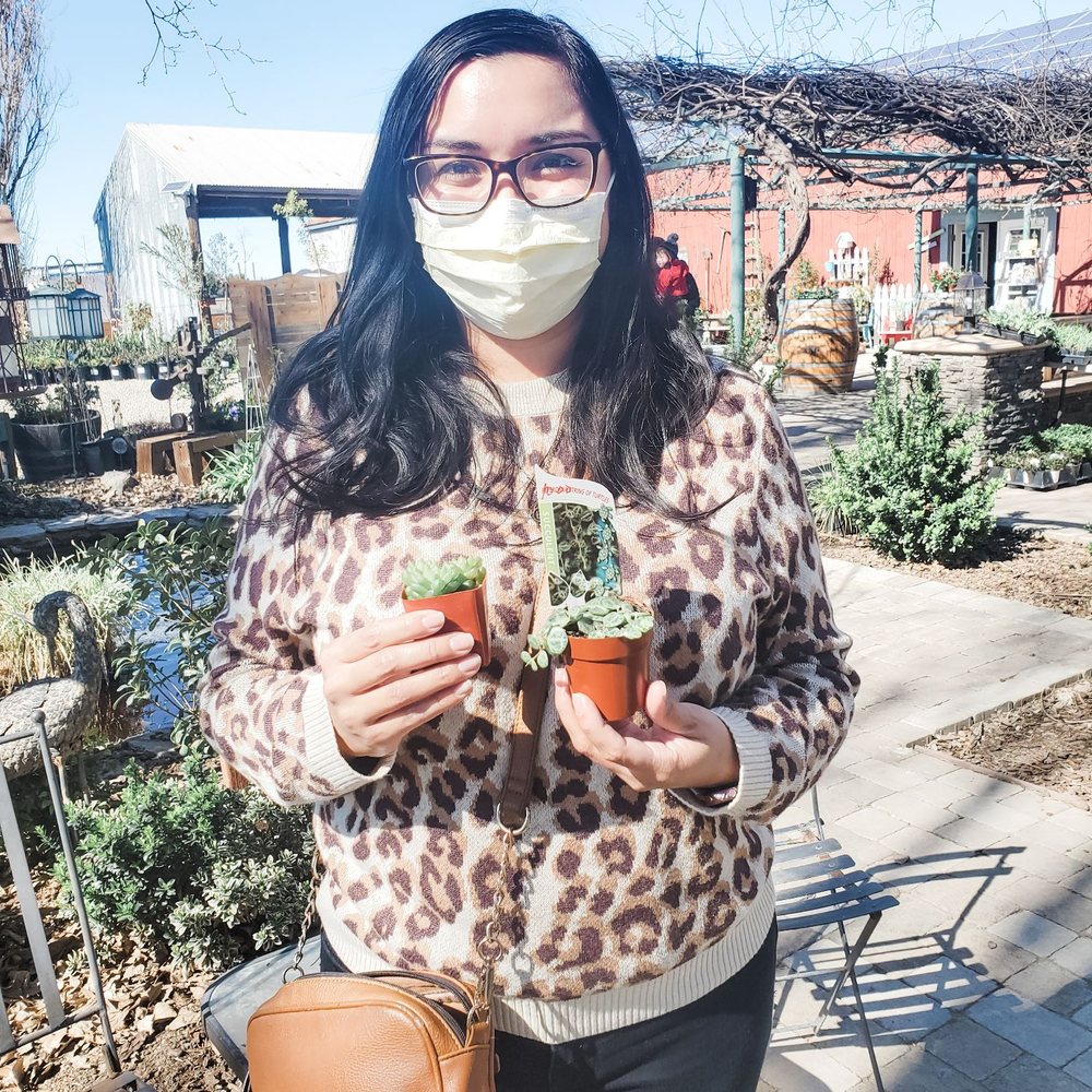 Tracy's Nursery and Gardens - I found two plant babies to take home! - Nurseries & Gardening Near Me - Tracy, California