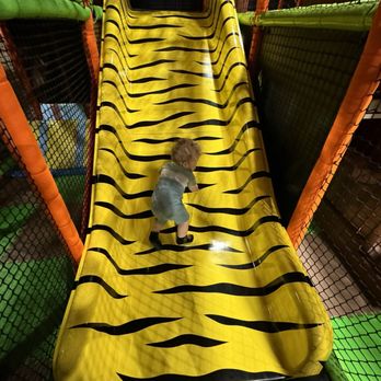 Wild Katz Children's Adventure Playground - Indoor Playcenter Near Me - Tucson, Arizona Wild Katz Children's Adventure Playground - Indoor Playcenter Near Me - Tucson, Arizona