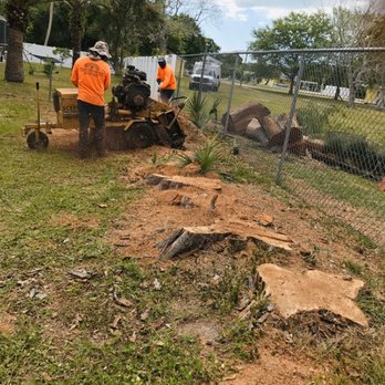 Troyer Tree Service - Stump removal - Landscaping Near Me - Sarasota, Florida Troyer Tree Service - Stump removal - Landscaping Near Me - Sarasota, Florida