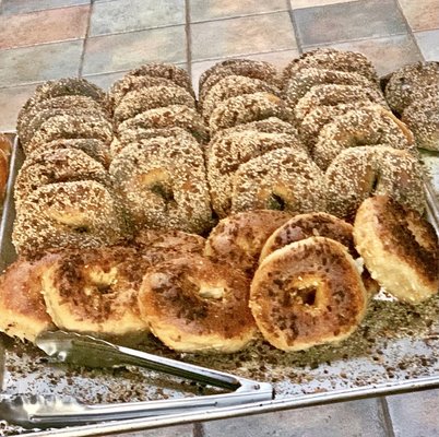 Chicken Dog Bagels by null