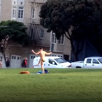 Alamo Square - Only in Frisco... - Parks Near Me - San Francisco, California Alamo Square - Only in Frisco... - Parks Near Me - San Francisco, California