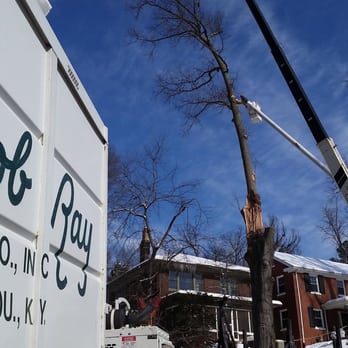 Bob Ray - Bob Ray Co. can provide you with an accurate and honest free estimate on tree removals, tree pruning, stump removals and plan... - Tree Services Near Me - Louisville, Kentucky Bob Ray - Bob Ray Co. can provide you with an accurate and honest free estimate on tree removals, tree pruning, stump removals and plan... - Tree Services Near Me - Louisville, Kentucky