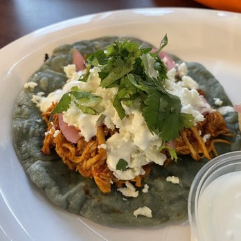 Tacologia - Tinga taco - Tacos Near Me - Moore, Oklahoma Tacologia - Tinga taco - Tacos Near Me - Moore, Oklahoma