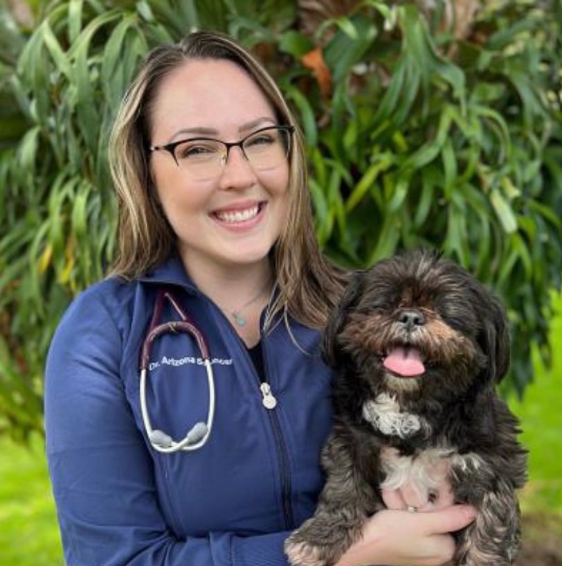 MERMAID VET HOSPITAL Updated September 2024 28 Photos 1905 43rd