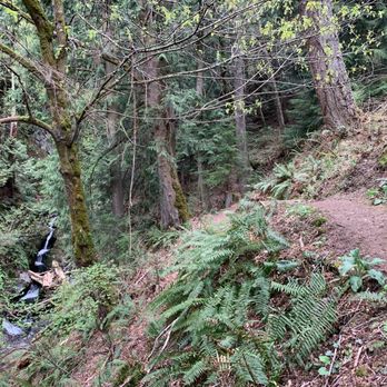 Coho Preserve - Can view the waterfalls while walking on the trail. - Parks Near Me - Olga, Washington Coho Preserve - Can view the waterfalls while walking on the trail. - Parks Near Me - Olga, Washington