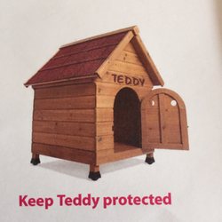 Vets4Pets Belfast - Love the personalised correspondence