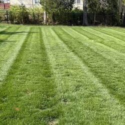 ABC Lawn Care Experts