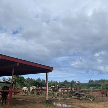 Gunstock Ranch - Horseback Riding Near Me - Laie, Hawaii Gunstock Ranch - Horseback Riding Near Me - Laie, Hawaii