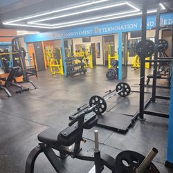 The Serious Gym