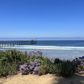 Pinpoint Cafe - Walk down the stairs for a closer view, find two benches side by side. - Coffee & Tea Near Me - San Diego, California