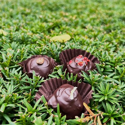 Wild Child Chocolate by null