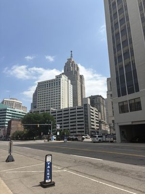 The Greening of Detroit - Lafayette Greens by null