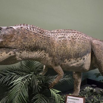 Dinosaur Museum - Museums Near Me - Branson, Missouri