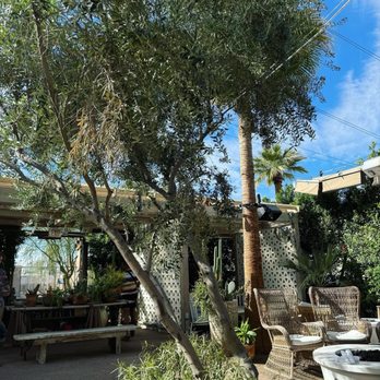 Palma - Sushi Bars Near Me - Phoenix, Arizona Palma - Sushi Bars Near Me - Phoenix, Arizona