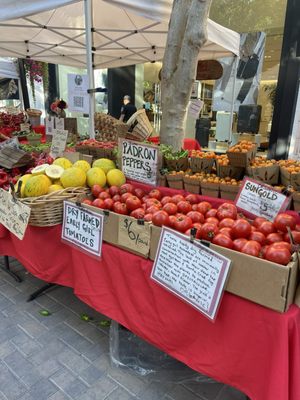 Santana Row Farmers' Market (Open May - September) by null