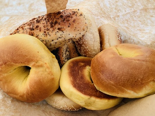 Western Bagel by null