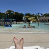 Ford Pool gift card