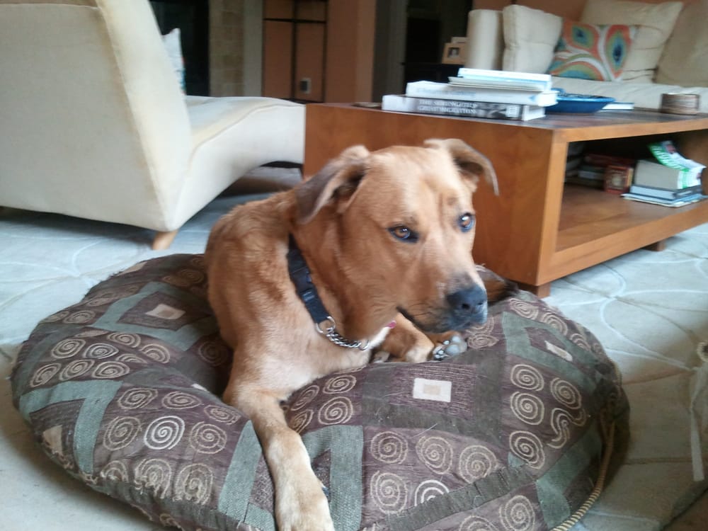 STEAM’N TEMEN’S CARPET CLEANING 2875 Sir Francis Drake Blvd, Fairfax