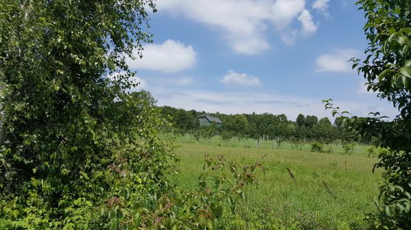 Val Caudalies - Vignoble & Cidrerie by null