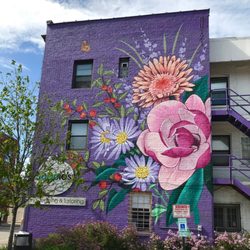 Evanston Made - Mural outside Soapie's in Evanston