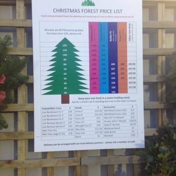 Pines and Needles - Dulwich - Prices - Christmas Trees Near Me - Gt Lon, XGL