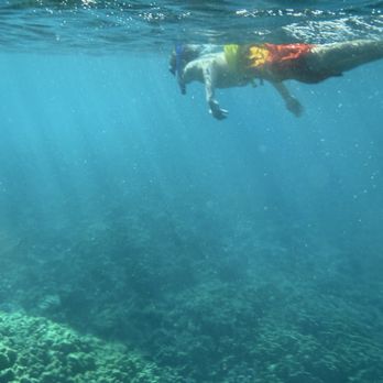 Trilogy Excursions - Snorkeling Near Me - Lahaina, Hawaii