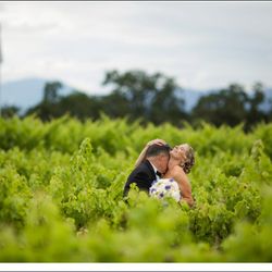 A bit of romance in the vineyard. June 2016 T.J Salsman Photography