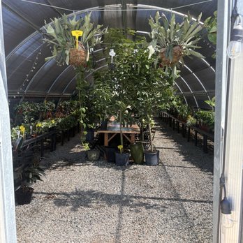 Curby's Nursery - Nurseries & Gardening Near Me - Temecula, California