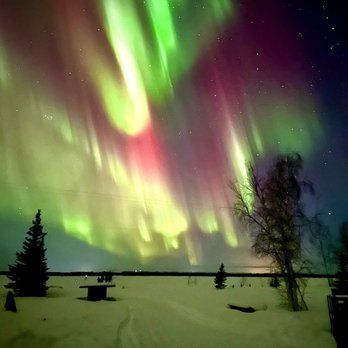 Face The Outdoors - Bus Tours Near Me