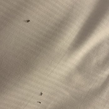Hilton Boston/Woburn - Black debris from AC being spit out onto bed. Gross! - Hotels Near Me - Woburn, Massachusetts Hilton Boston/Woburn - Black debris from AC being spit out onto bed. Gross! - Hotels Near Me - Woburn, Massachusetts