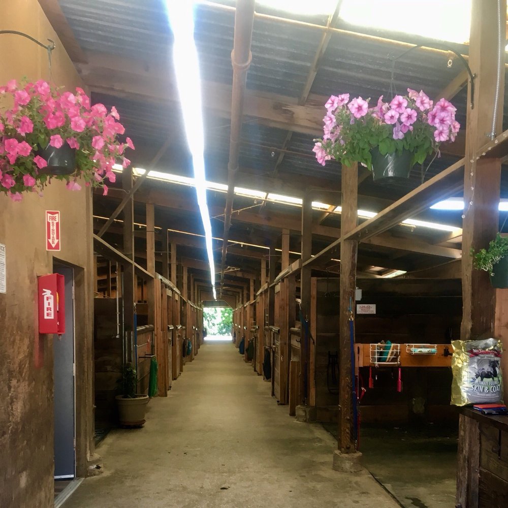 St. Francis Riding Club - Horseback Riding Near Me
