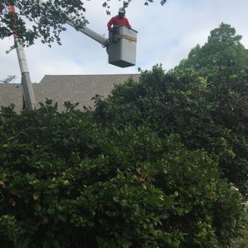 Santana Tree Service - Santana Tree Service free estimates text us or call us at 225- 431-2138. - Tree Services Near Me