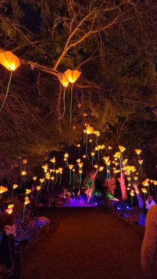 San Diego Botanic Garden by null