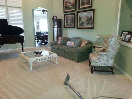 Carpet Cleaning - We are expert carpet cleaners, specializing in sanitation