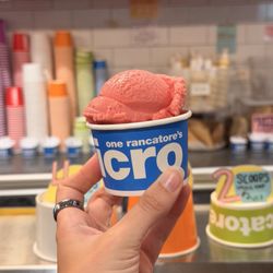 Raspberry Sorbet