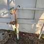 Photo of PVD Plumbing and Re-Pipe