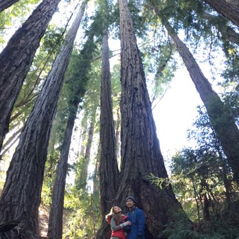 Ventana Campground - Campgrounds Near Me - Big Sur, California Ventana Campground - Campgrounds Near Me - Big Sur, California